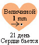 Эта точка такого же размера, как и сердце ребенка на 21 день внутриутробного развития